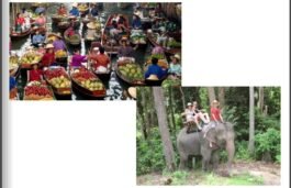 RS08-Damnernsaduak Floating Market & Elephant Riding