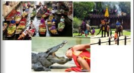 RS09-Damnernsaduak Floating Market,SamPran Crocodile Farm,Elephant Show