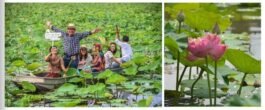 RS10-Lotus Farming