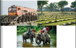 RS16 : Bridge Over The River Kwai & Elephant Bathing  (60 minutes train ride )