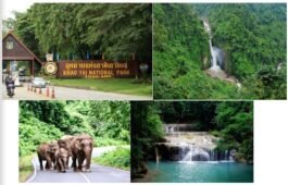 RS23 : Khaoyai National Park ( Full Day Tour + Lunch )