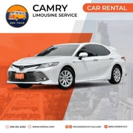 CS03-TOYOTA CAMRY